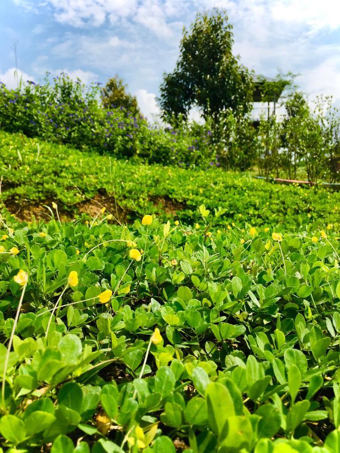 Durian Ecolodge Tampin Ngoại thất bức ảnh