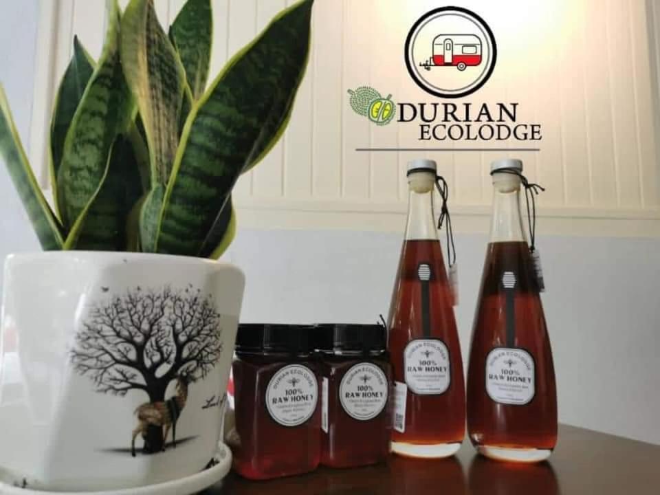 Durian Ecolodge Tampin Ngoại thất bức ảnh