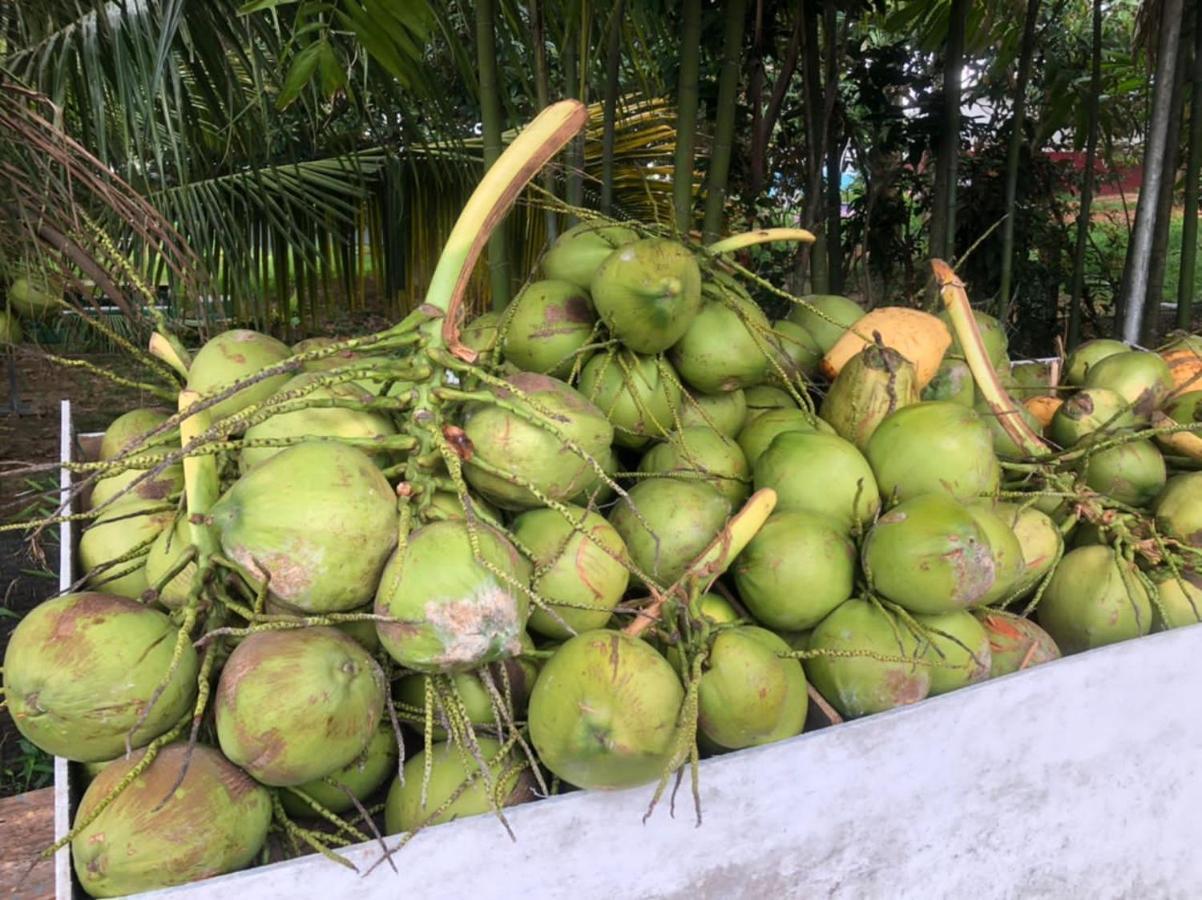 Durian Ecolodge Tampin Ngoại thất bức ảnh